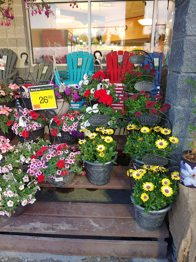 Supermarket «Price Chopper», reviews and photos, 53 Finney Blvd, Malone, NY 12953, USA