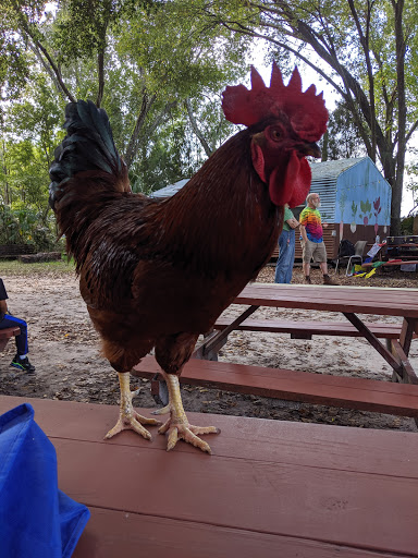 Farm «Sweetwater Organic Community Farm», reviews and photos, 6942 W Comanche Ave, Tampa, FL 33634, USA