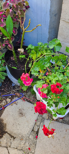 Supermarket «ALDI», reviews and photos, 5830 Firestone Blvd, South Gate, CA 90280, USA