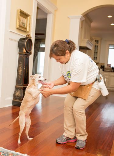 Cleaning Service «Busy Living Cleaning», reviews and photos, 330 Camden Causeway, Camden, NC 27921, USA