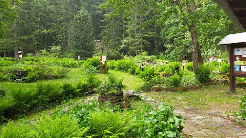 Giardino Botanico Valderia à Terme di Valdieri