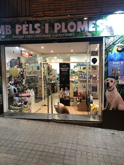 Amb Pèls i Plomes - Servicios para mascota en Barcelona