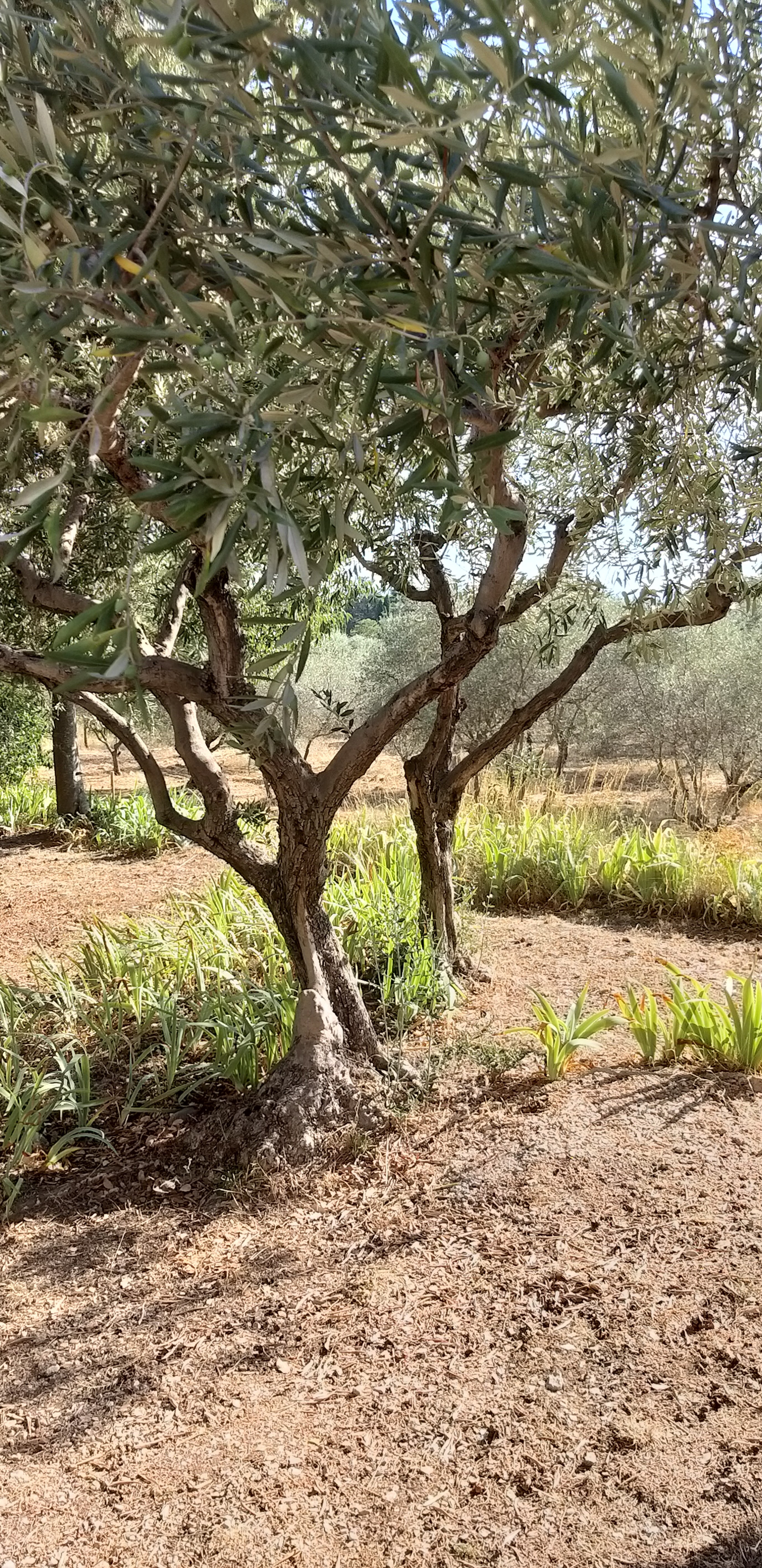 Photo n° 19 de l'avis de unmecdesannees80. fait le 27/08/2019 à 18:09