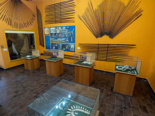 Instituto Geográfico e Histórico do Amazonas