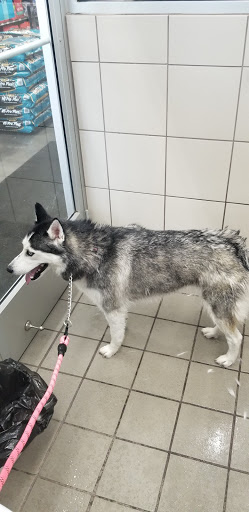 Pet Supply Store «Pet Supplies Plus», reviews and photos, 9430 W 159th St, Orland Park, IL 60467, USA