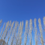 Photo n°1 de l'avis de giovanna.e fait le 29/01/2020 à 15:42 sur le  McCafé à Romagnano Sesia