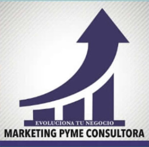 Opiniones de Marketing Pyme Consultora EIRL en Temuco - Diseñador de sitios Web