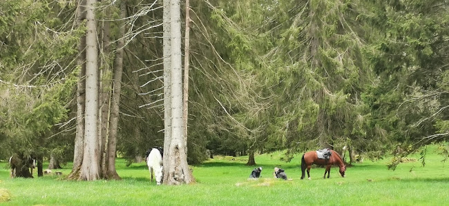 Kommentare und Rezensionen über Stellplatz Jura