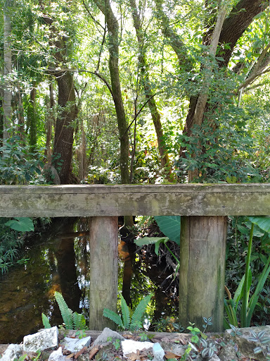 Curiosity Creek, Tampa