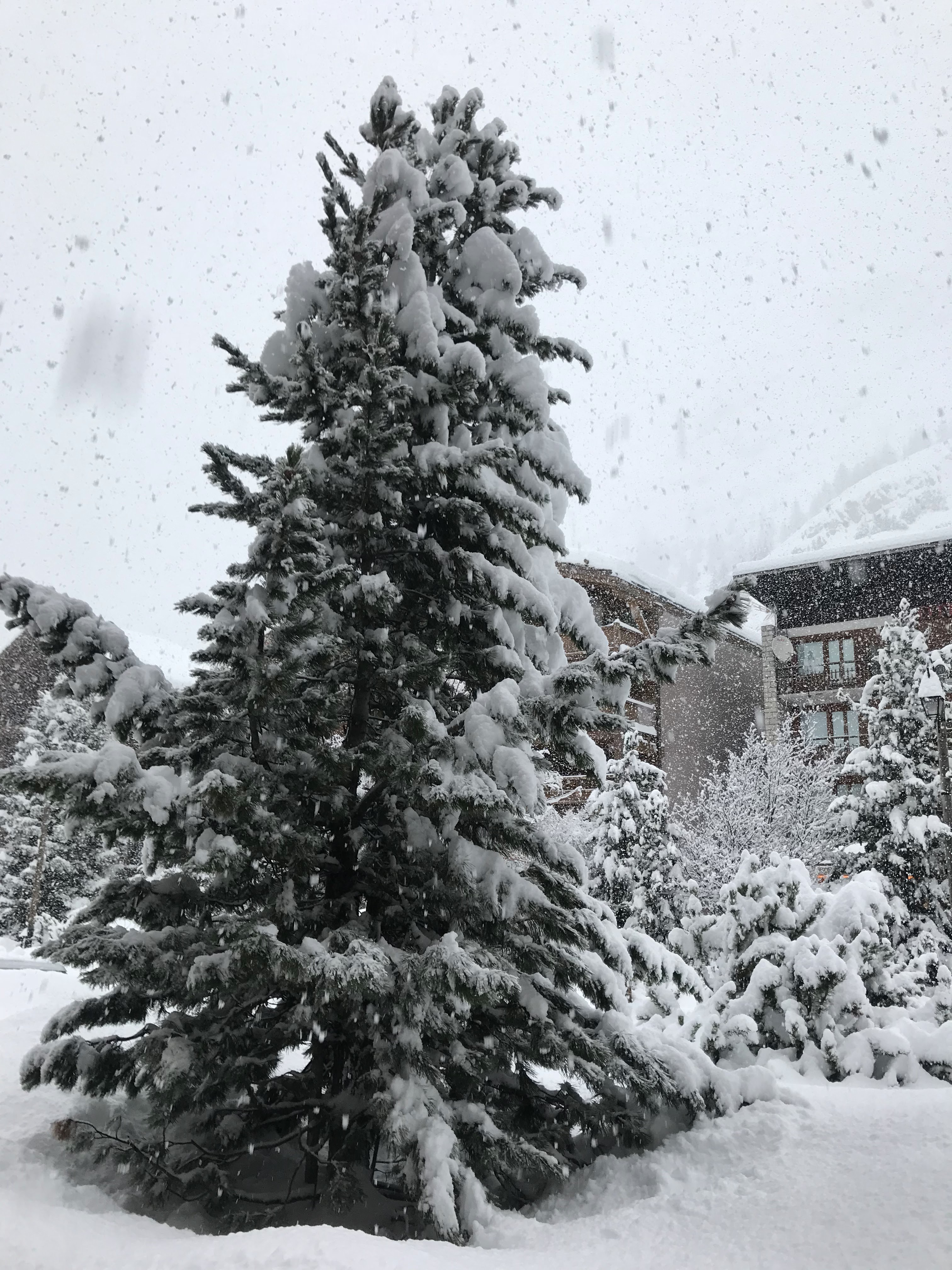 Photo n° 2 de l'avis de Julien.r fait le 06/04/2019 à 08:05