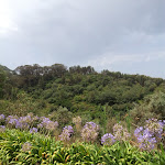 Photo n°1 de l'avis de Anabela.a fait le 27/07/2020 à 13:02 sur le  Casa do Valle à Sintra