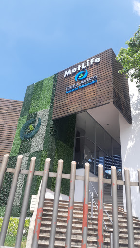 Metlife Tuxtla Gutiérrez