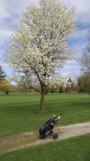 Golf Course «Pine Shores Golf Course», reviews and photos, 515 Fred W Moore Hwy, St Clair, MI 48079, USA