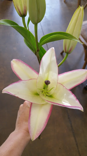 Florist «Bayville Florist Inc. Always Something Special», reviews and photos, 950 Atlantic City Blvd, Bayville, NJ 08721, USA