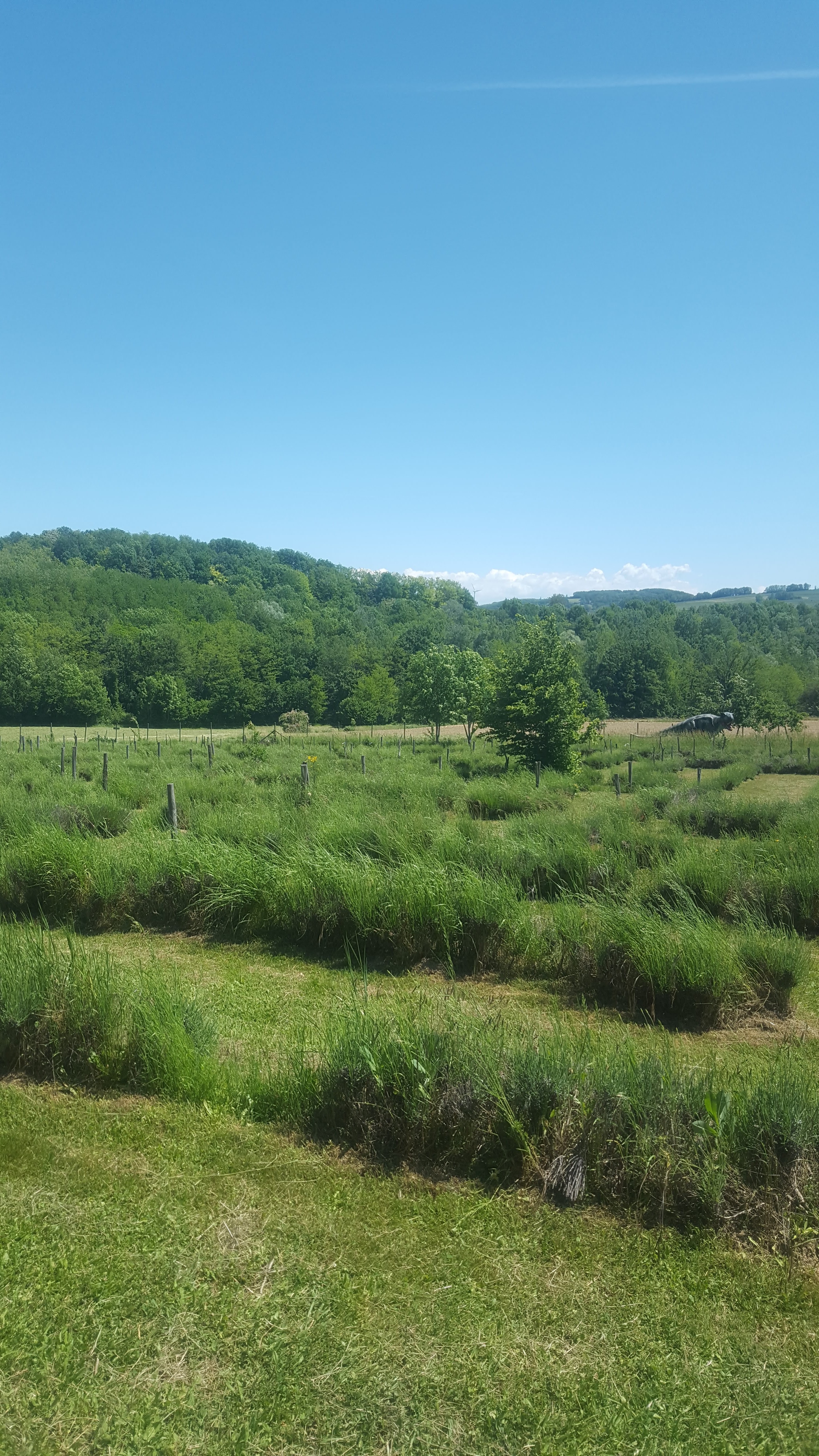 Photo n° 2 de l'avis de estelle.r fait le 02/06/2019 à 13:03