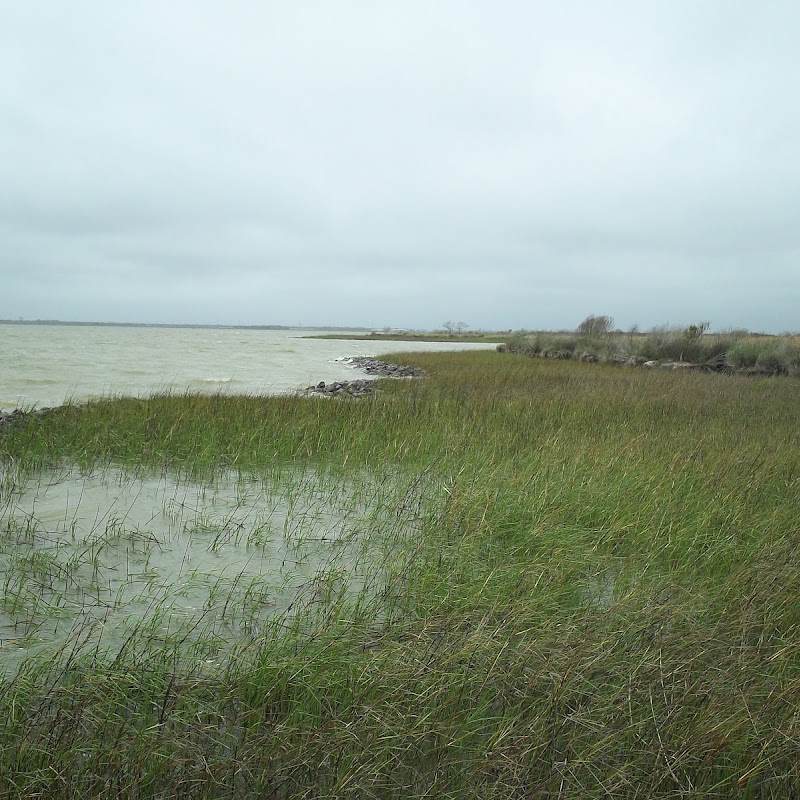 Texas City Prairie Preserve