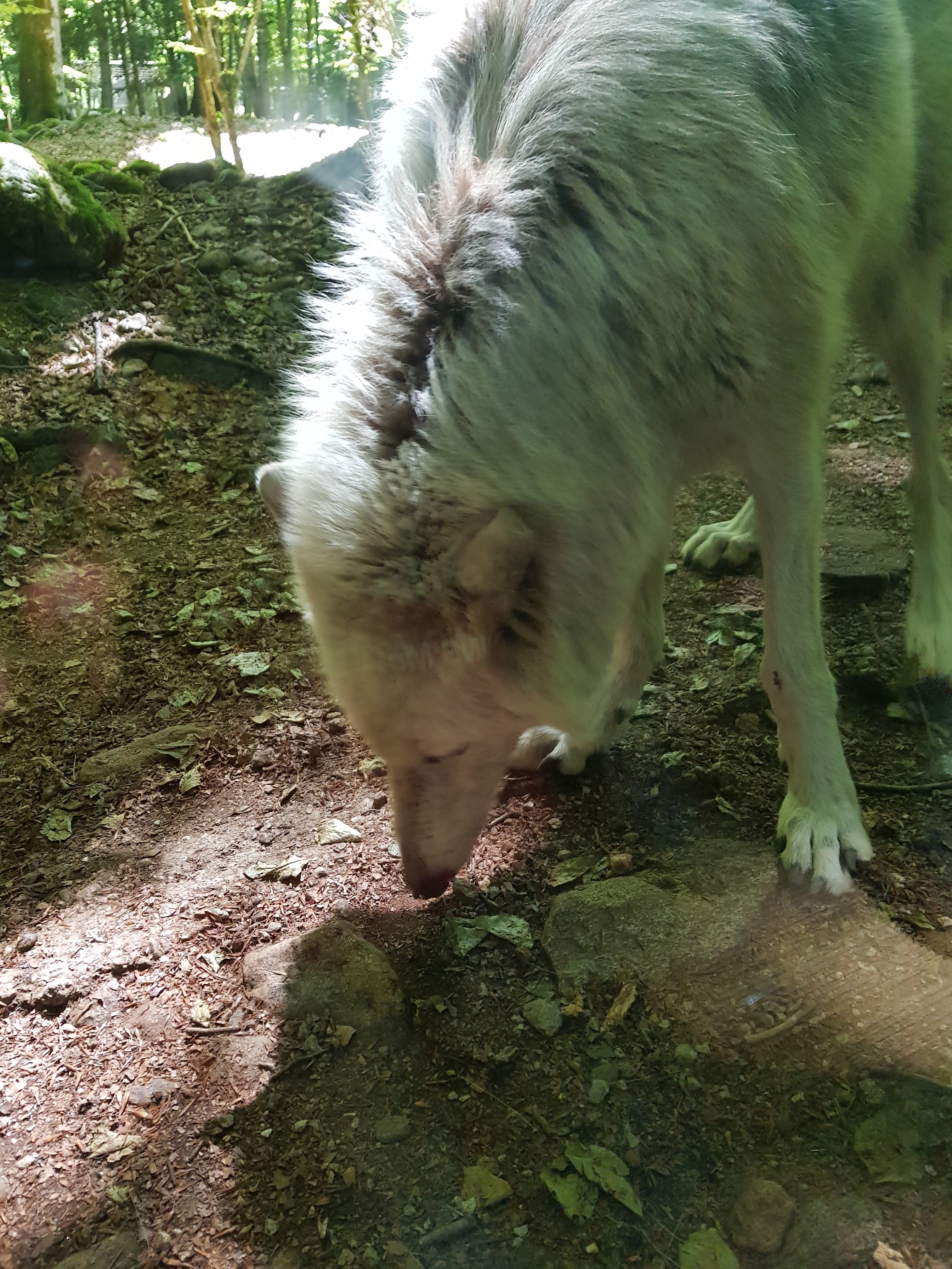 Photo n° 1 de l'avis de Veronique.r fait le 26/06/2018 à 17:41