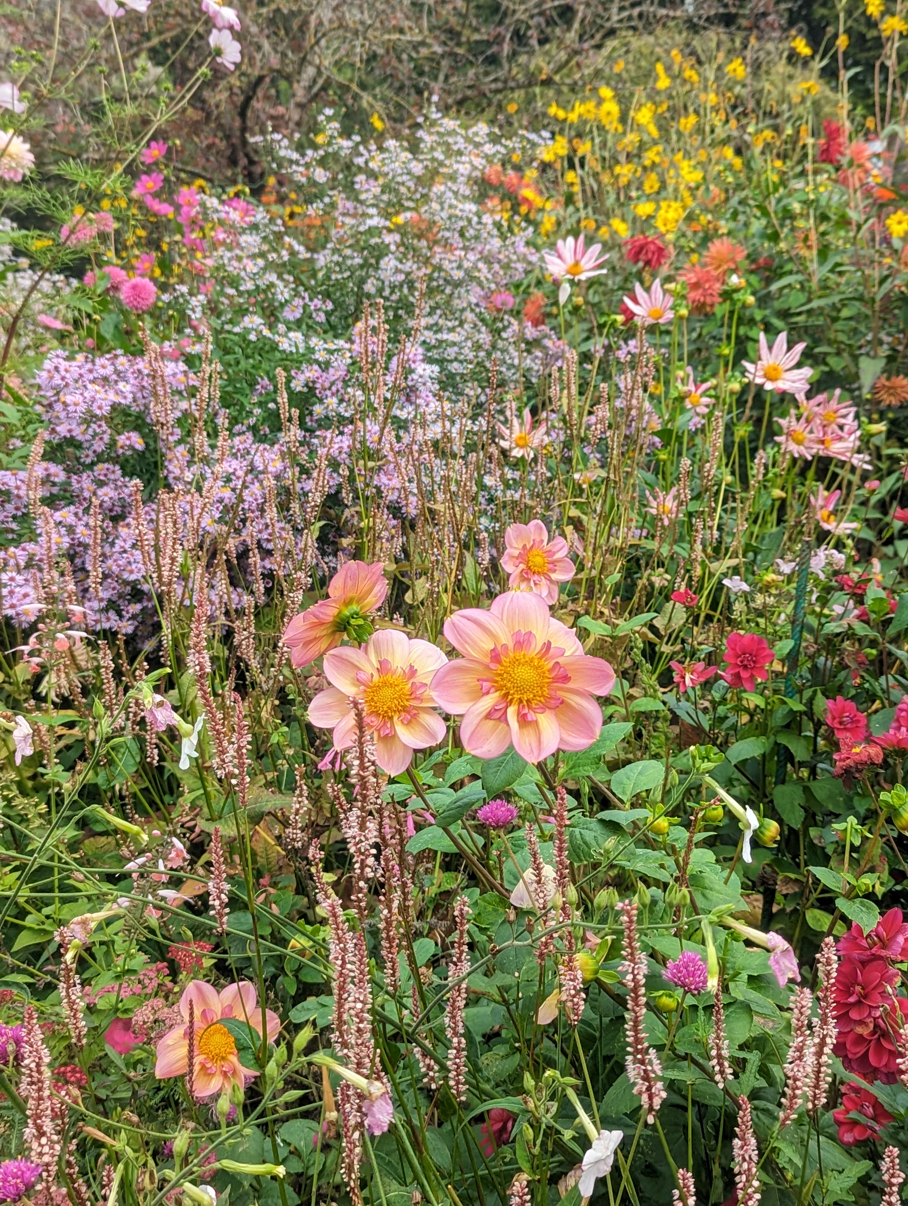 Photo n° 12 de l'avis de Salima.l fait le 05/11/2023 à 22:12