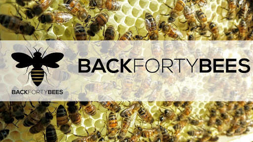 Back Forty Bees