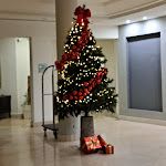 Photo n°1 de l'avis de Mauro.a fait le 09/12/2023 à 13:08 sur le  Grand Hotel Villa Itria à Viagrande