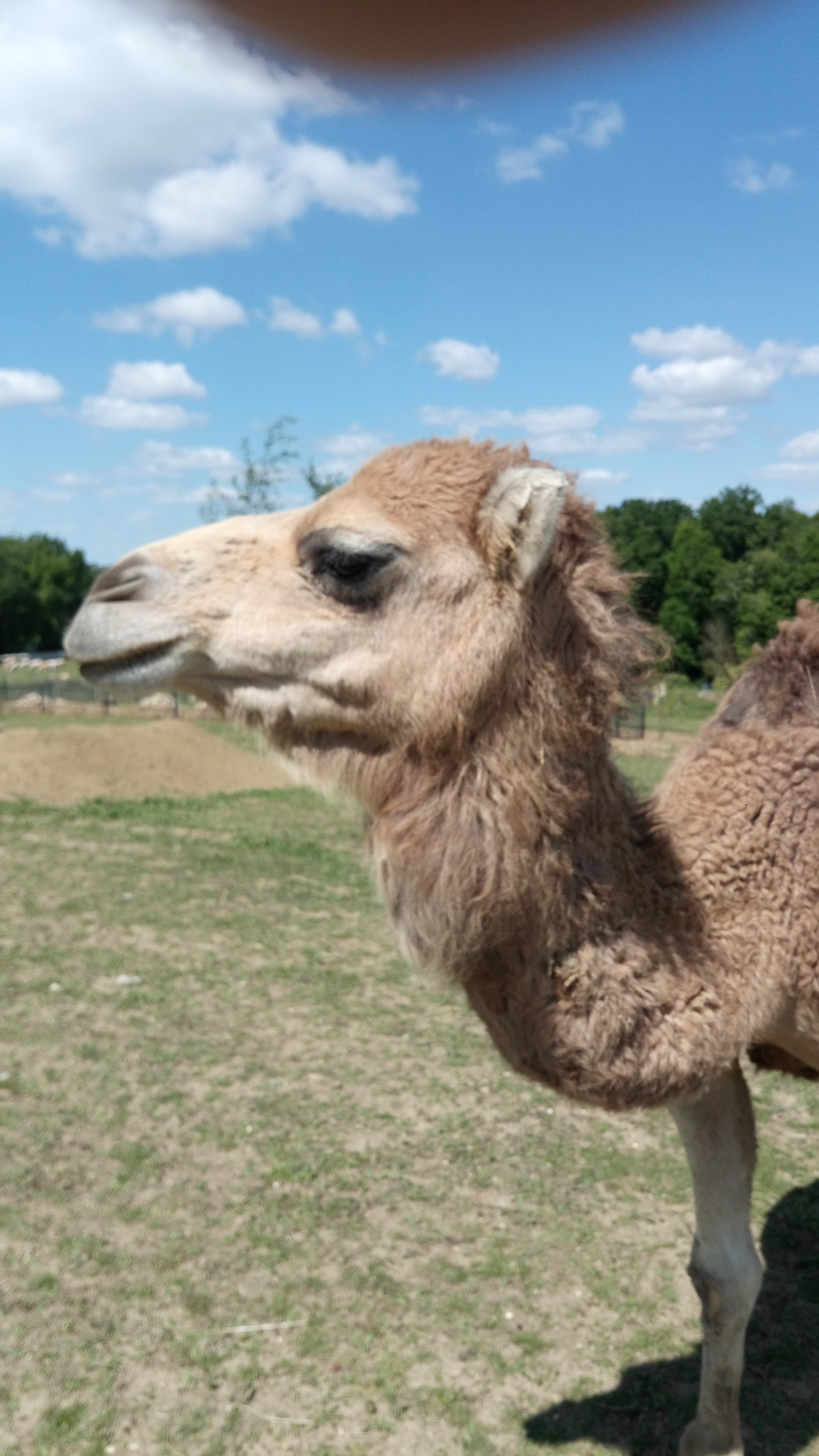Photo n° 2 de l'avis de Ludovic.A fait le 13/05/2019 à 07:44
