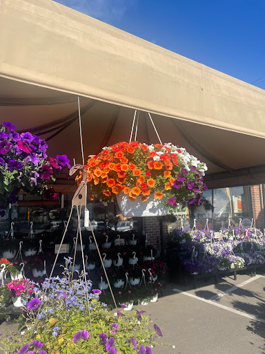 Grocery Store «Westborn Market», reviews and photos, 21770 Michigan Ave, Dearborn, MI 48124, USA