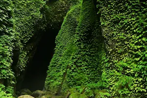 Shiwagara Falls image