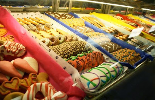 Pet Store «Earth Pets», reviews and photos, 11740 San Jose Blvd, Jacksonville, FL 32223, USA