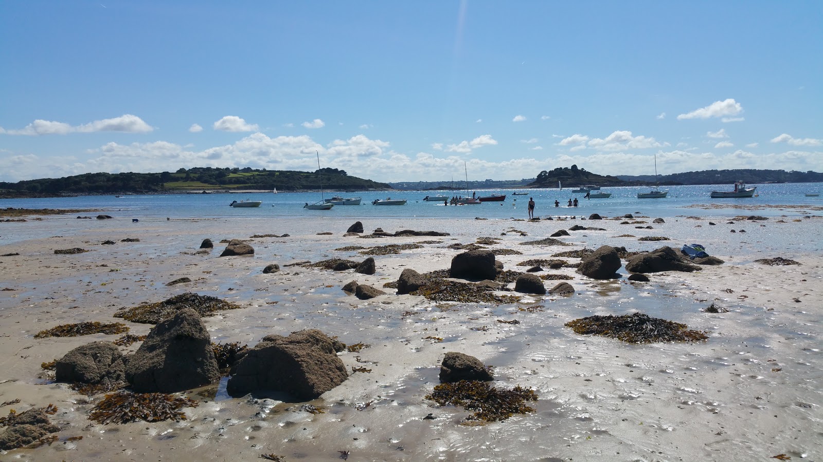 Plage de Plougasnou-Saint-Jean-du-Doigt photo #8