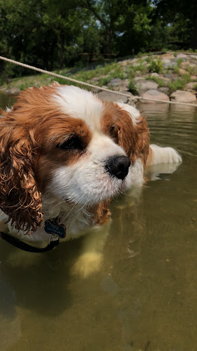 Park «Baker Park Reserve», reviews and photos, 2309 Baker Park Rd, Maple Plain, MN 55359, USA