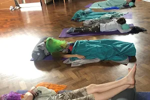 Yogi Birds Yoga image