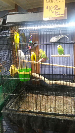 Pet Store «Fin & Feather of Ashland», reviews and photos, 307 S Center St, Ashland, VA 23005, USA