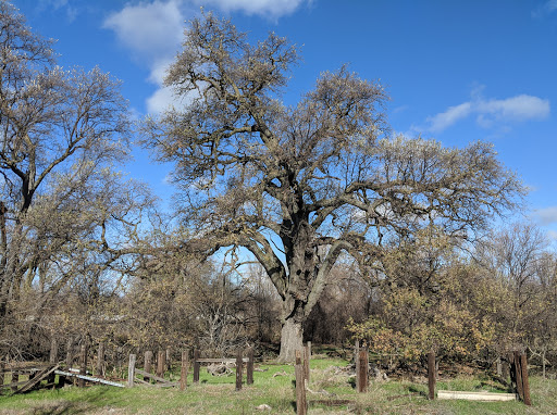 Community Center «Sun City Lincoln Hills», reviews and photos