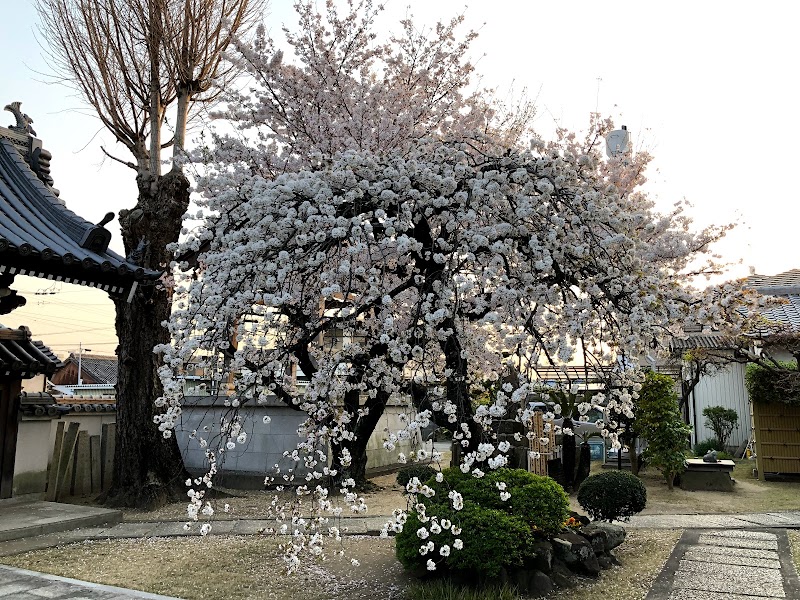 親縁山 常念寺