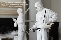 Crystal Clean Cleaning Services - Photo 3 - Car repair in , Rochester