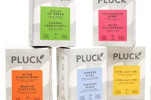 Pluck Tea image