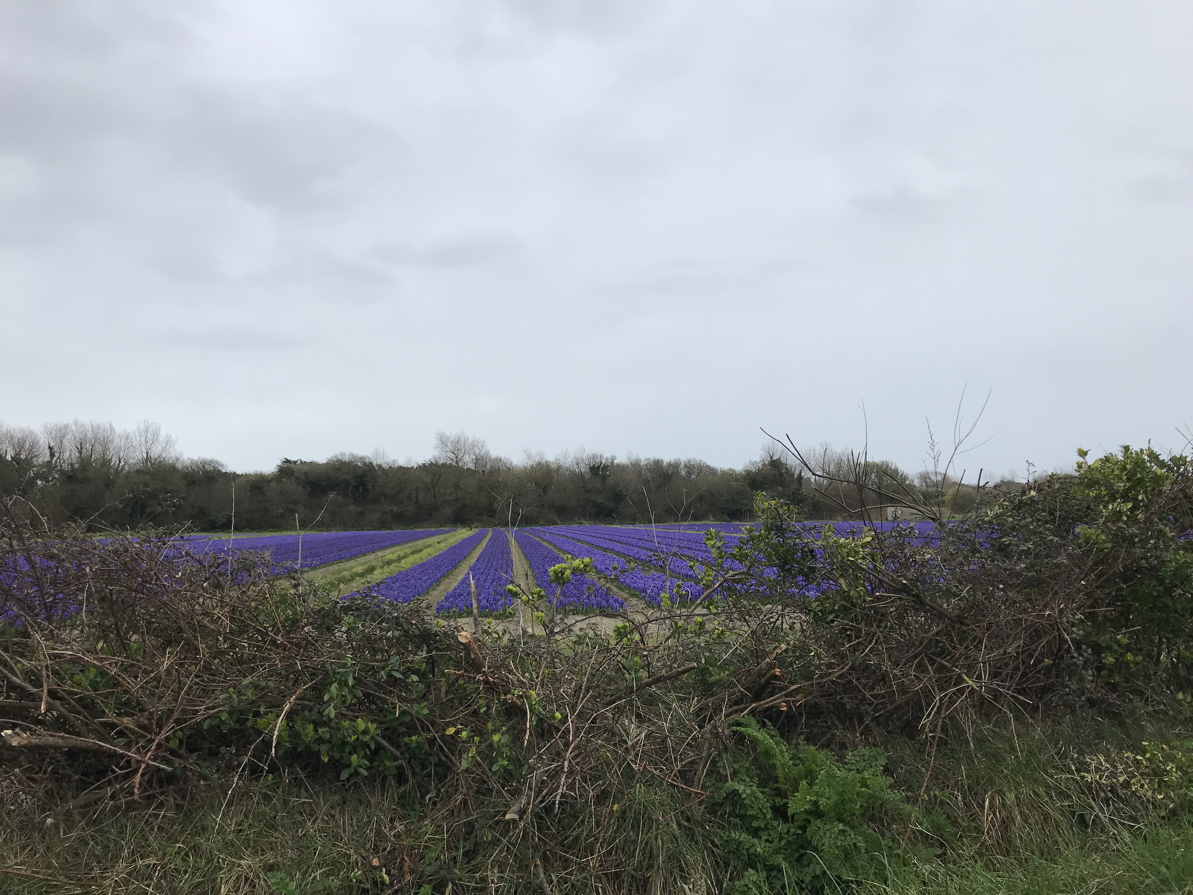 Photo n° 4 de l'avis de Jean-Marie.U fait le 11/03/2022 à 10:42