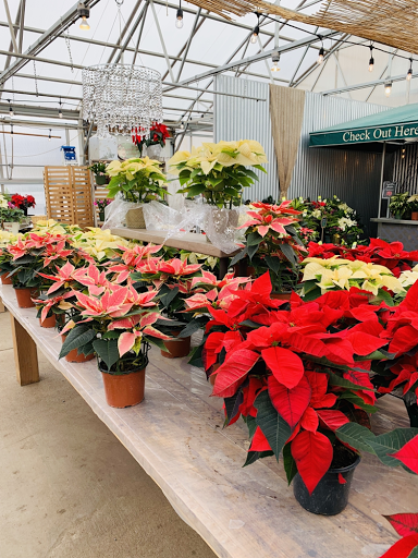 Florist «Forest Lake Floral, Gift & Garden», reviews and photos, 508 Lake St S, Forest Lake, MN 55025, USA