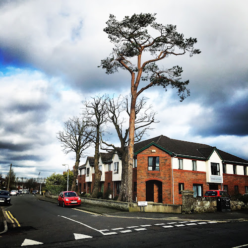 Reviews of Treescapes NI - Belfast & Northern Ireland's Premier Tree Service Company in Belfast - Landscaper