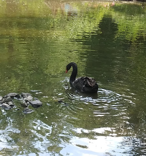 Zoo «Cape May County Park & Zoo», reviews and photos, 707 U.S. 9, Cape May Court House, NJ 08210, USA