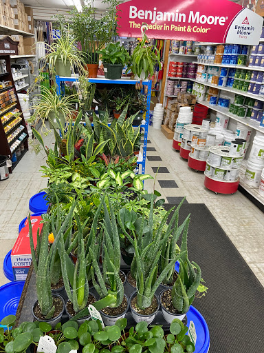 Hardware Store «Broadway Lumber Supplies», reviews and photos, 1146 Myrtle Ave, Brooklyn, NY 11206, USA