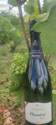 Champagne Hourdry à Nogent-l'Artaud