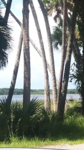 Campground «Myakka River State Park Big Flats Camping Area», reviews and photos, Myakka State Park Rd, Sarasota, FL 34240, USA