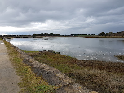 Marais du Hézo à Le Hézo