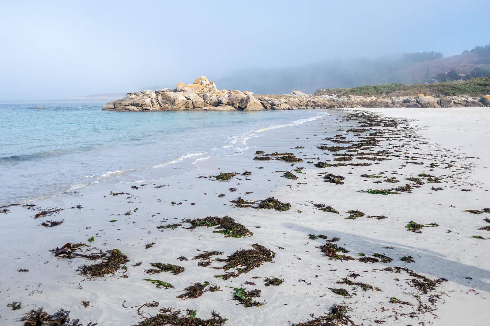 Fotografie cu Praia Da Cruz zonă sălbatică