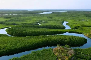 Saloum Delta National Park image