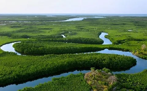 Saloum Delta National Park image