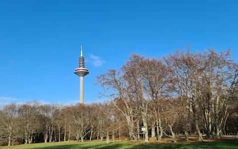 Grüneburg park image