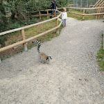 Photo n°5 de l'avis de Nicholas.p fait le 27/08/2023 à 18:52 sur le  Tier-Erlebnispark Bell à Bell