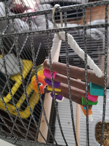 Pet Store «Oasis Tropicals», reviews and photos, 507 Commerce St, Pleasanton, TX 78064, USA